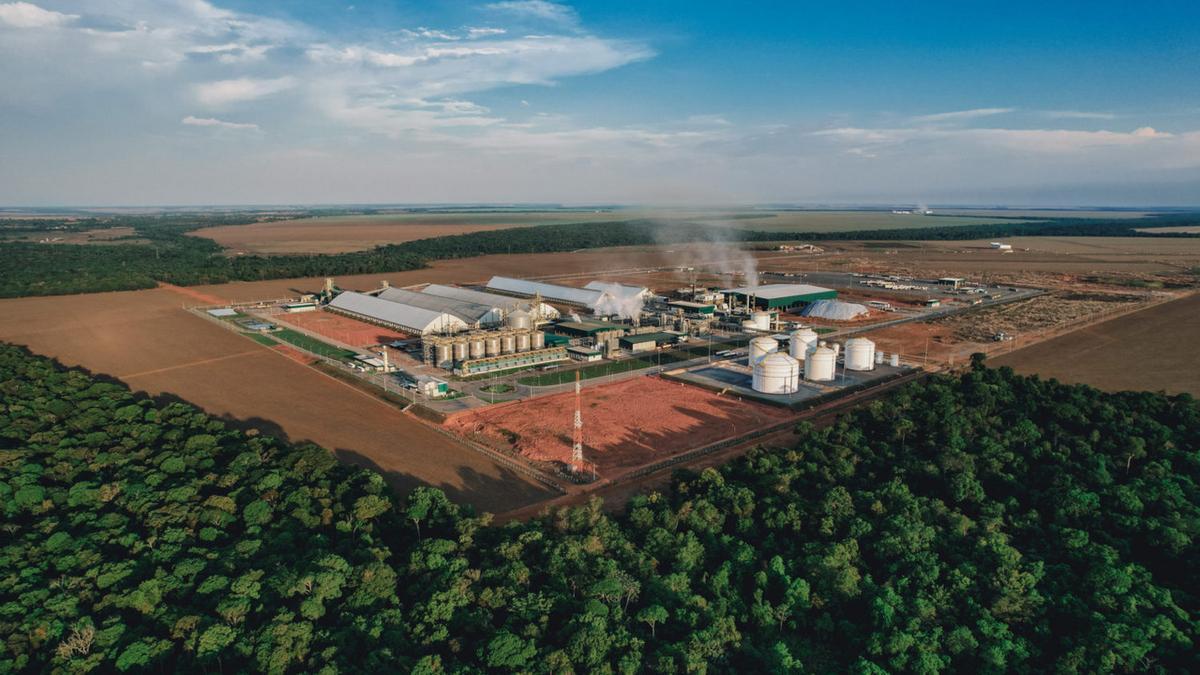 Etanol de milho mira 22 bilhões de litros; biomassa surge como desafio